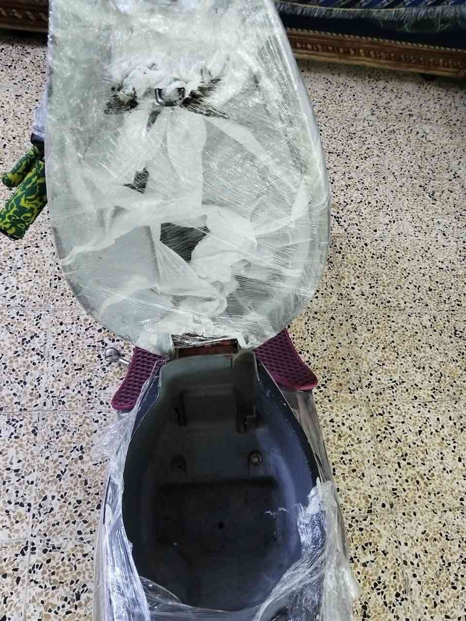 نحله 9 زروف • معمر • وايرمنيه