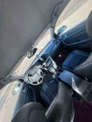 سوناته • ٢٠١٦ • وارد امريكي