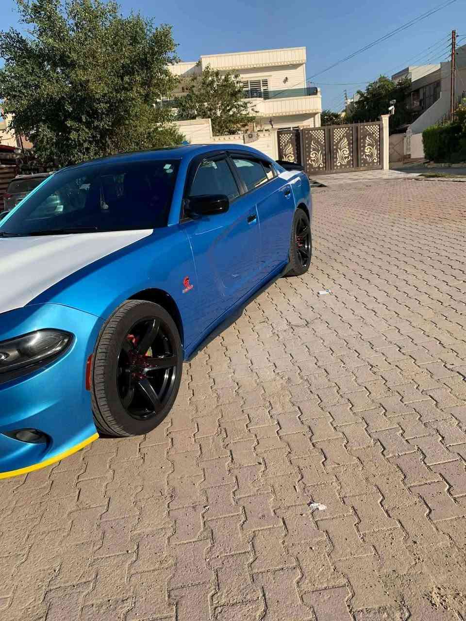 جارجر GT • فول فول • رقم سليمانيه
