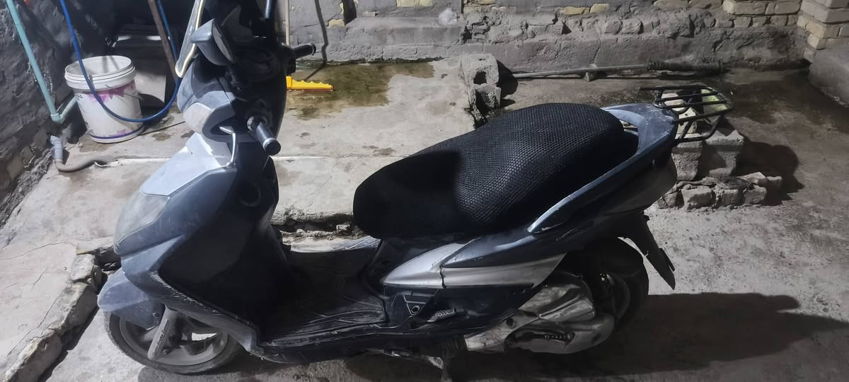 سكنس فحل • مكينه مفتوحه • كهربايات