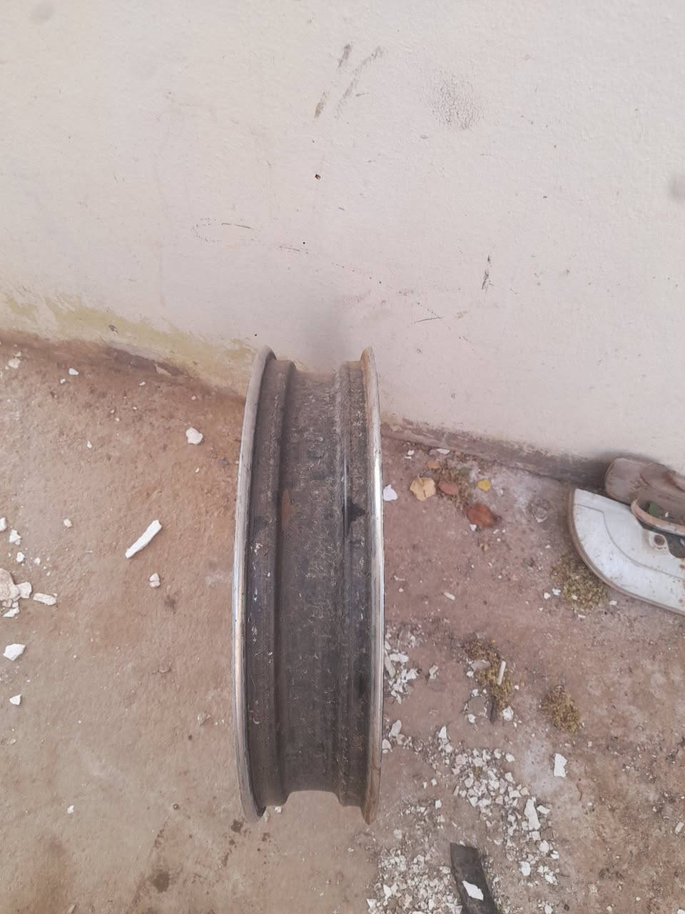 ويل سايم • بطح • طبكه زنجيل