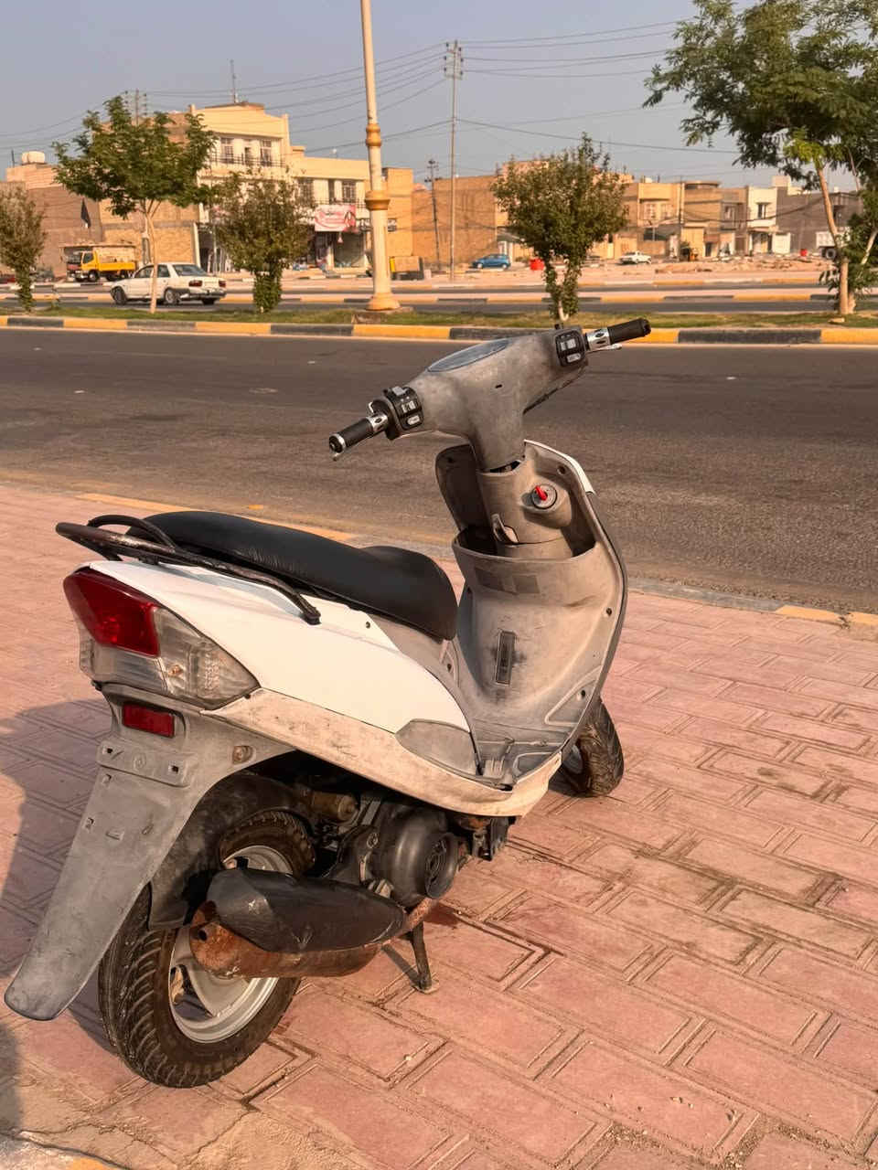ماكس منغولي • مامفتوحه • ٤٩