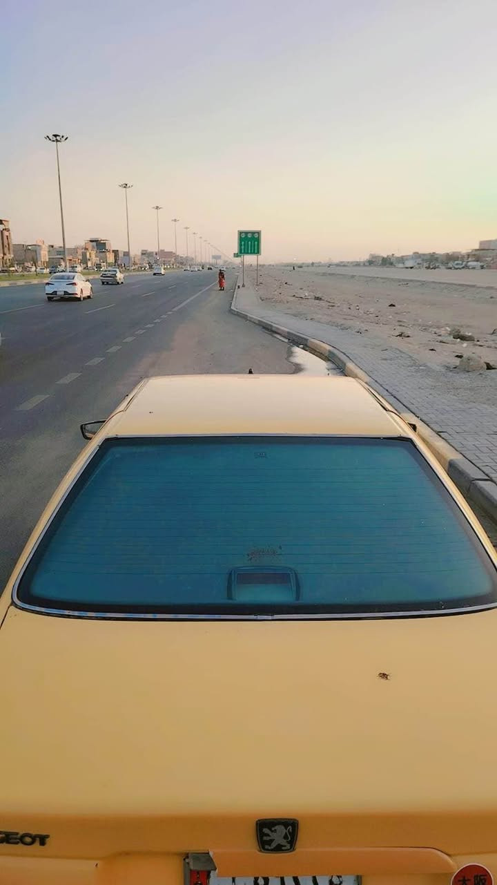 بارس • ٢٠١٥ • البصرة