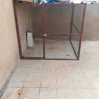 قفصين • طيور ودجاج • موصل حي