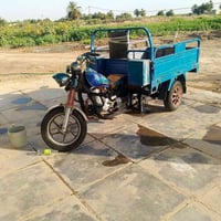 ستوته • صقر • ٢٠٢٠