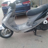 ماكس • نعومه • للبيع