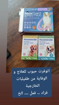 مستلزمات حيوانات • توصيل بغداد • الأعظمية شارع المشاتل
