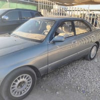 كراون بطه • مكفولة • نجف حيدر