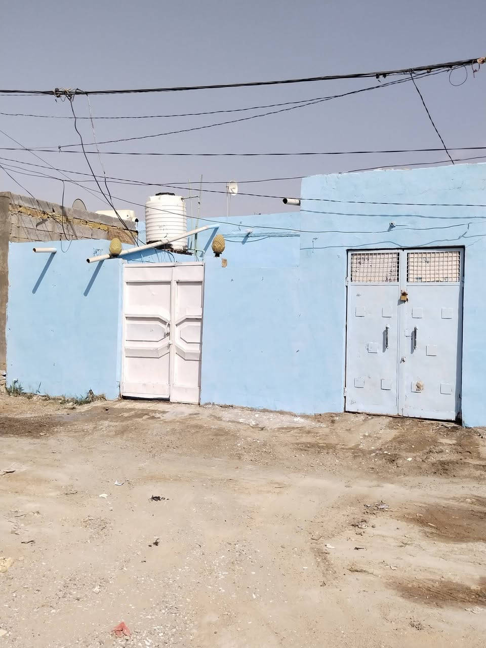 علوة الفحل • ١٠٠م • رهينه