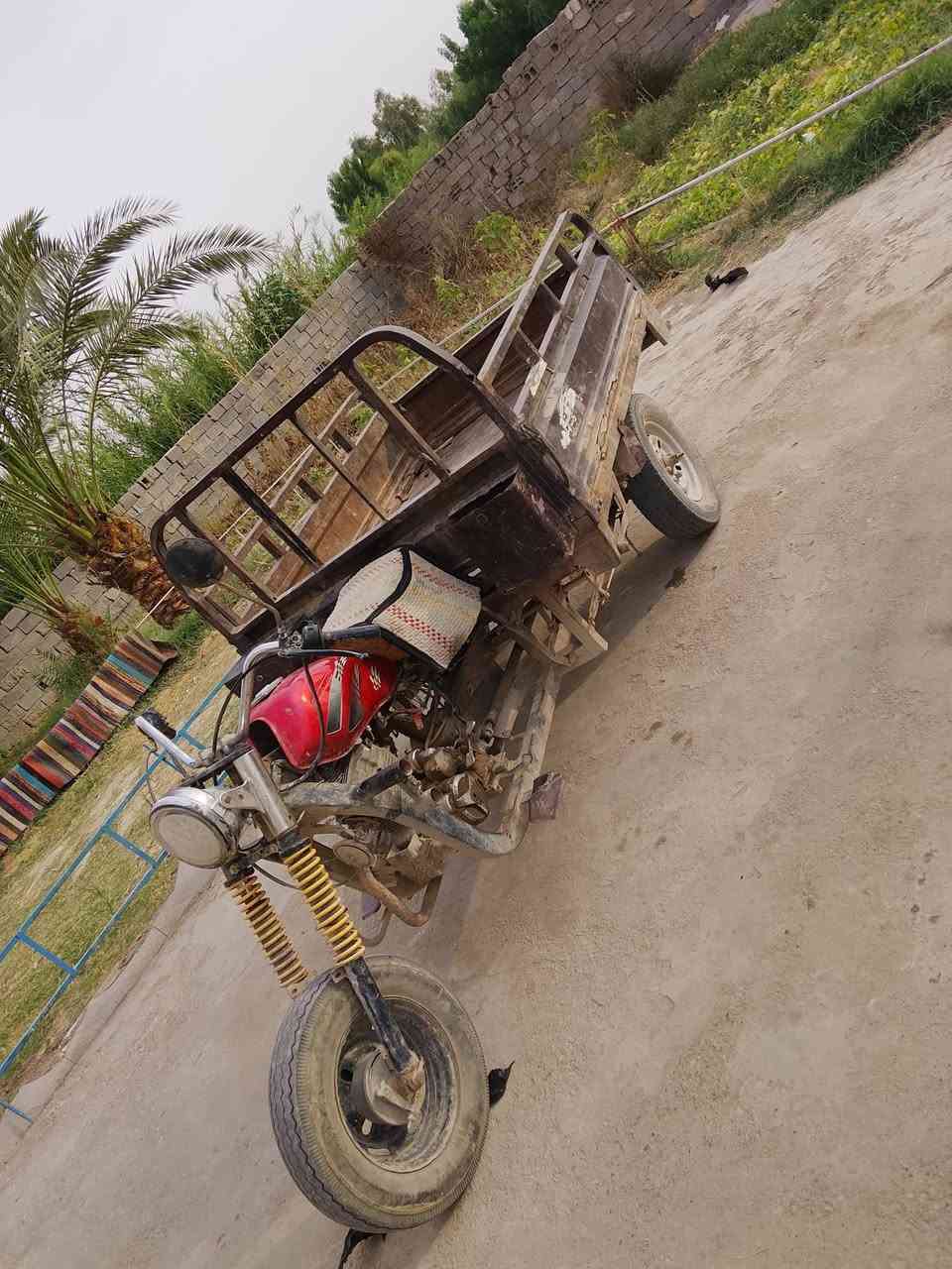ستوته • ٢٠١٠ • شاصي مكفول
