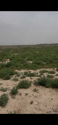 التاجي أبو جليعيدة • دونم • مسيج بي آر سي