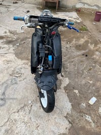 عصفوريه سبايدر • تايوان • ١٥٠
