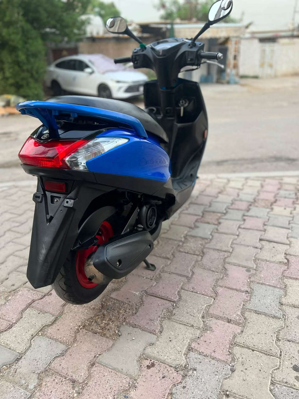 اكزز • اوراق • نظام ايكو
