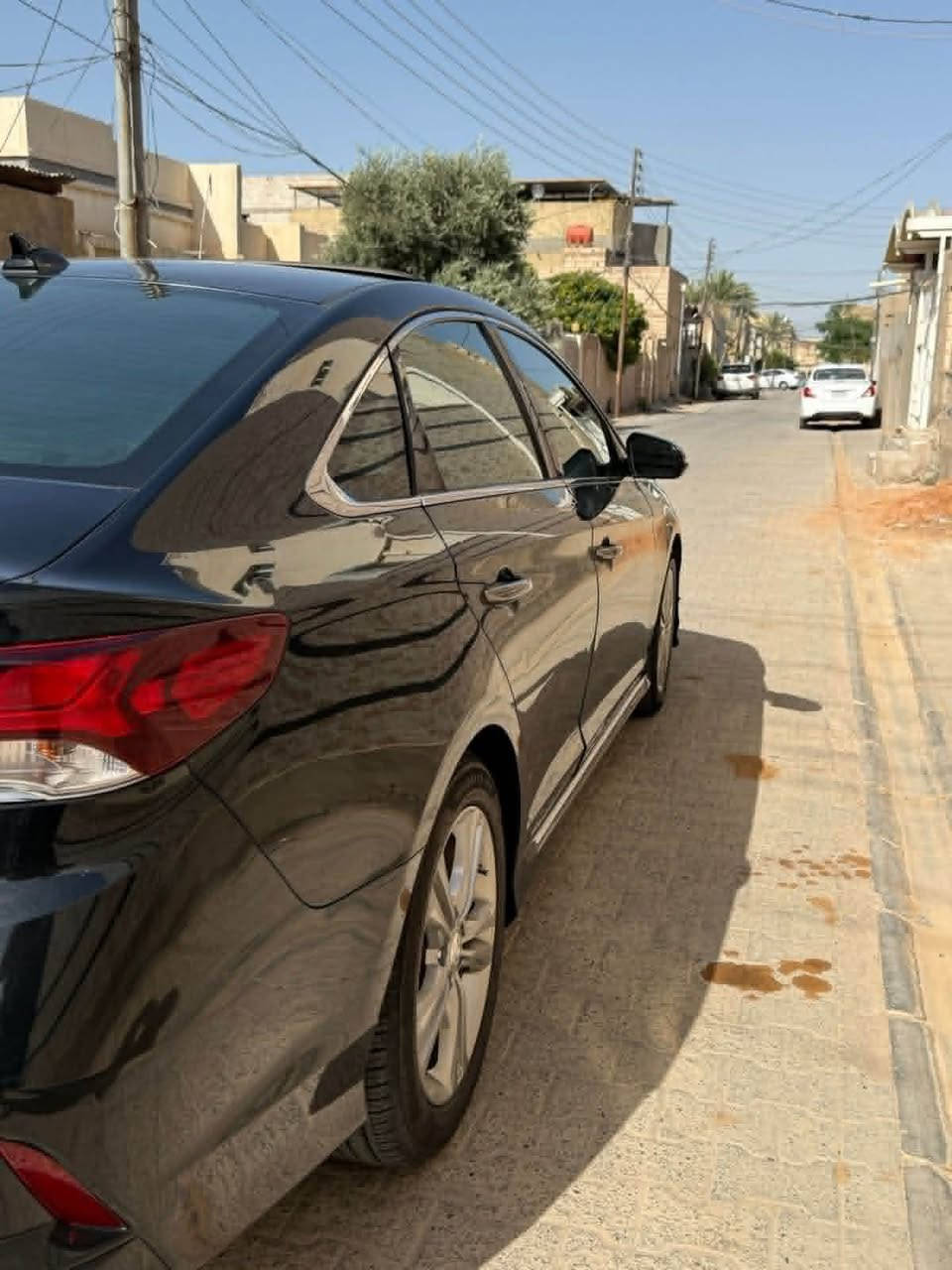 سوناتا وارد امريكي • ٢٠١٨ • رقم اربيل