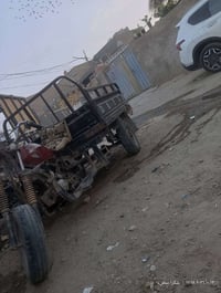 ستوته • دايون • شاصي مكفول