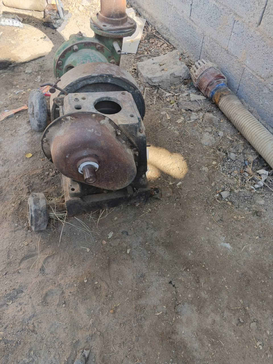 سلام عليكم خنزيره للبيع في كربلاء طوريج السعر 100وبيها مجال الرقم ***********
