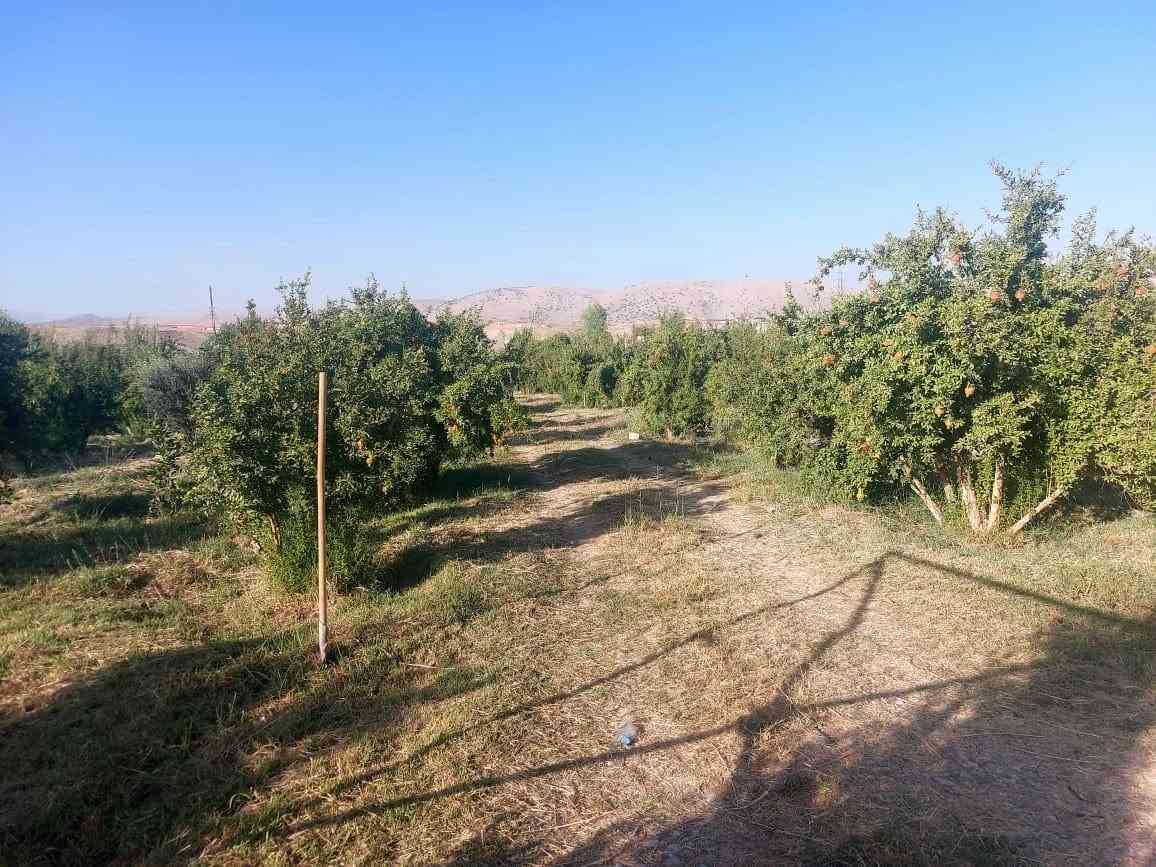 ١.٥ دونم • نهر هيزوب • بئر ٨٤م