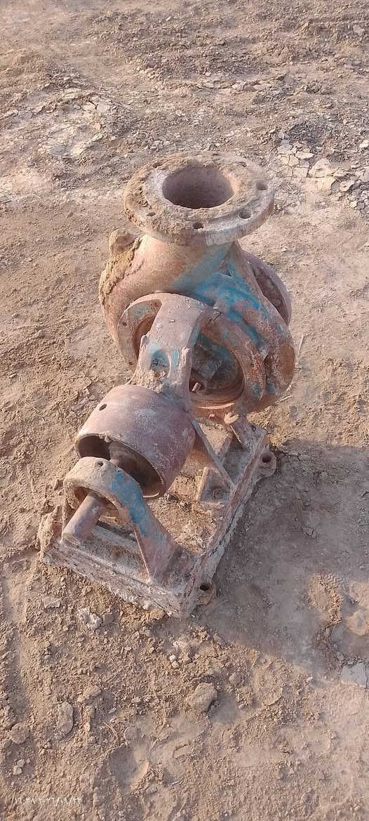 سلام عليكم خنزيره سوبر 6×5لبيع ***********

نص مكتوب في الصور:
- 16:38 2026/09/22
- ١٦:٢٨ ٢٠١٦/٠٩/٢٢
- 12:08 1402/12/24