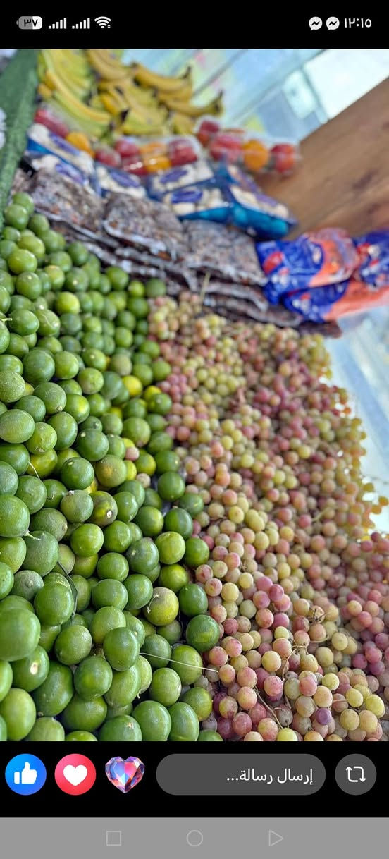 حياكم الله من علوة زاد الخير
أسعار يوم الاربعاء والصلاة على النبي

الخضار

🍅 طماطة عراقية — 750
🍅 3 كيلو طماطة رايجة — 1000
🥒 خيار ناعم درجة أولى — 1000
🥒 2 كيلو خيار وسط — 1500
🥔 بطاطا عراقية درجة أولى — 1250
 بطاطا عراقيه درجه ثانيه ب 1000
🍆 أسود عراقي — 1000
🧅 بصل بارد كرستال — 1000
🧅 بصل أصفر بارد — 1000
🧅 بصل أخضر — 1000
لوبيا عراقية — 1500
باميا عراقية — 3500
شجر عراقي ناعم — 1000
فلفل حار وبارد — 1500
فلفل ألوان علبة — 1000
فطر علبة — 2000
جزر تركي — 1500
قرنابيط — 2000
فاصوليا خضراء — 2500
شونذر — 1000
خس مستورد قطعة — 1000
لهانة حمرة وبيضة — 1000
 ذره عرانيص شمالي ب 1000 

الفواكه

🍌 موز — 2000
حامض عراقي — 3000
حامض عراقي ناعم — 2000
حامض أفريقي — 2000
حامض سوري أخضر — 1500
رطب برحي — 2500
 خلال برحي ب 2000
تمر خستاوي مال كليج — 1500
رمان يمني أحمر وحلو — 3000
رمان مصري — 1500
كيوي تركي — 2000
عنب حلواني — 1000
عرموط حلو — 2500
تفاح أخضر سكري — 1500
تفاح أحمر إيطالي — 1500
تفاح أصفر — 1500
تفاح خد وخد — 1500
عنجاص عين الجمل — 1000
الو أحمر — 1000
خوخ مسكي — 1500
خوخ صوفي — 1500
برتقال تركي عسل — 2000
ركي أحمر وحلو — 1000
بطيخ عسل — 1000

الخضرة والمواد

سبيناغ مع اله — 3000
ريحان 8 — 1000
نعناع 8 — 1000
معدنوس 8 — 1000
كرفس 8 — 1000
رشاد باكة دبل — 500
سلك — 1000
شبنت — 500
خبز بيت جديد 5 — 1000
 طرشي الموصل علبه كيلو بلف ونص 

🚕 التوصيل داخل مجمع بسماية A / B — 1000 دينار

📞 واتساب: ***********

نص مكتوب في الصور:
- إرسال رسالة...
- رطب مكتوم