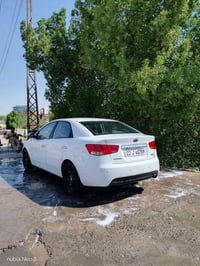 سيراتو • جنطه • البصرة
