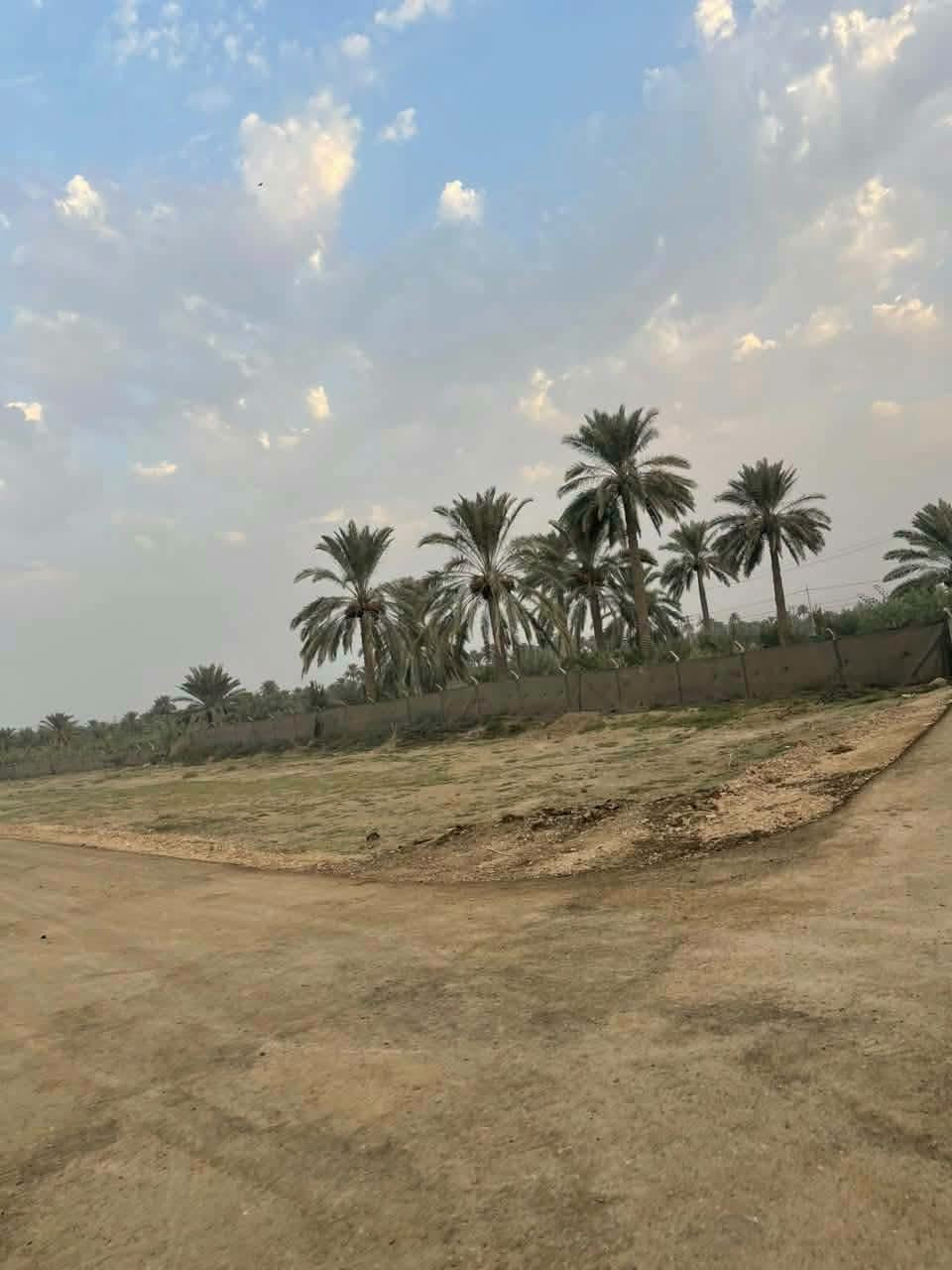 الباشية مجمع ام البنين • ٤٠٠م • طابو زراعي