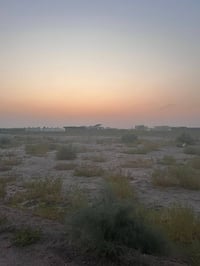 ‏السلام عليكم ‏دوانم للبيع طابو سند 25 بأسمي فقط  قريبة من الشارع العا...