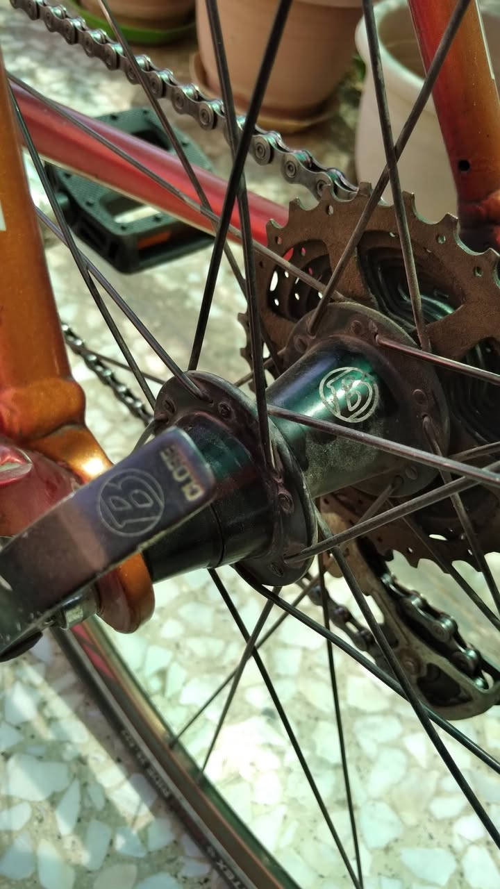 Trek1200
قياس 52   M

المنيوم

كروب سيت تياكرا بالكامل براكيت 

2*10

وياله SS بونتريكر

السعر ٣٠٠ الف

كفاءات السيدية 

*********** واتساب
