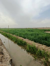 ٢٠ دونم • عقدين ١١+٩ • بيت ٣٦٠م