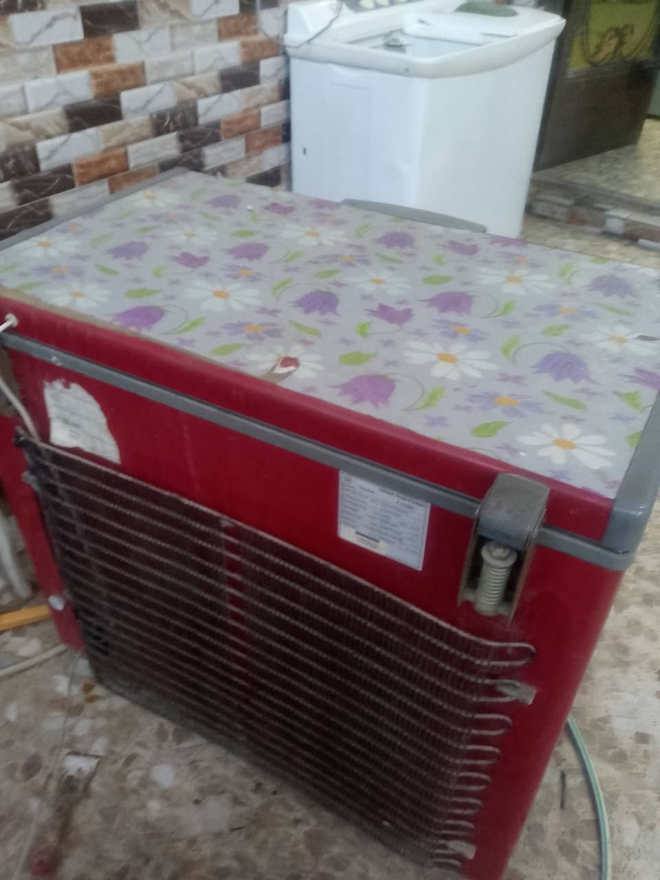 مجمدة • نظيفه • نجف