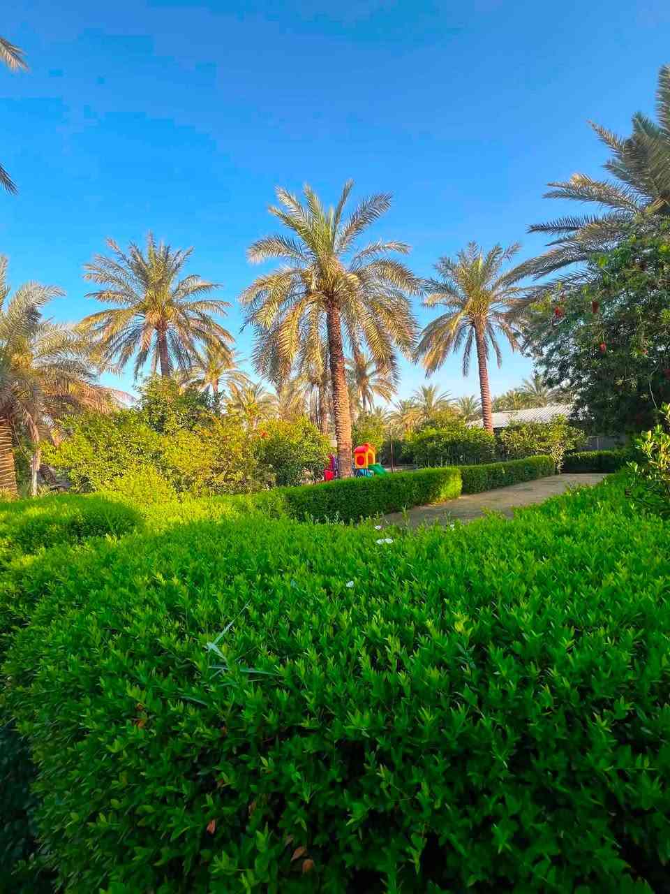 السلام عليكم مزرعه اللايجار بغداد الراشديه
***********
