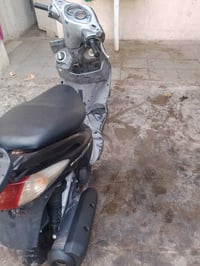 سكنس فحل ياباني البيع بلاديه شراي يتصل مكاني بغداد العبيدي 07773284886
