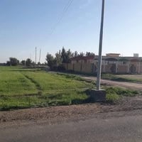 التاجي ذراع دجلة • ٢٥٠٠م • طابو سند ٢٥