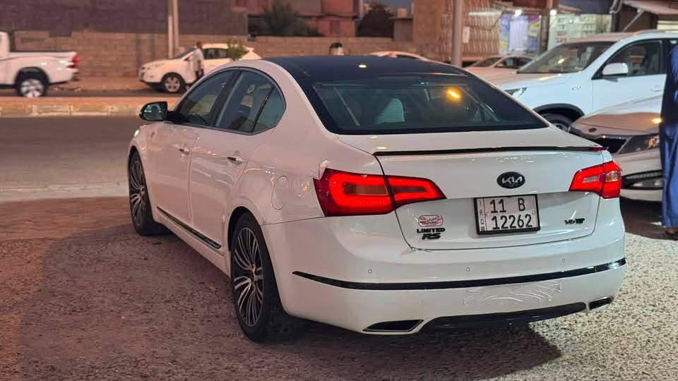 كادينزا فول • ٢٠١١ • الرمادي