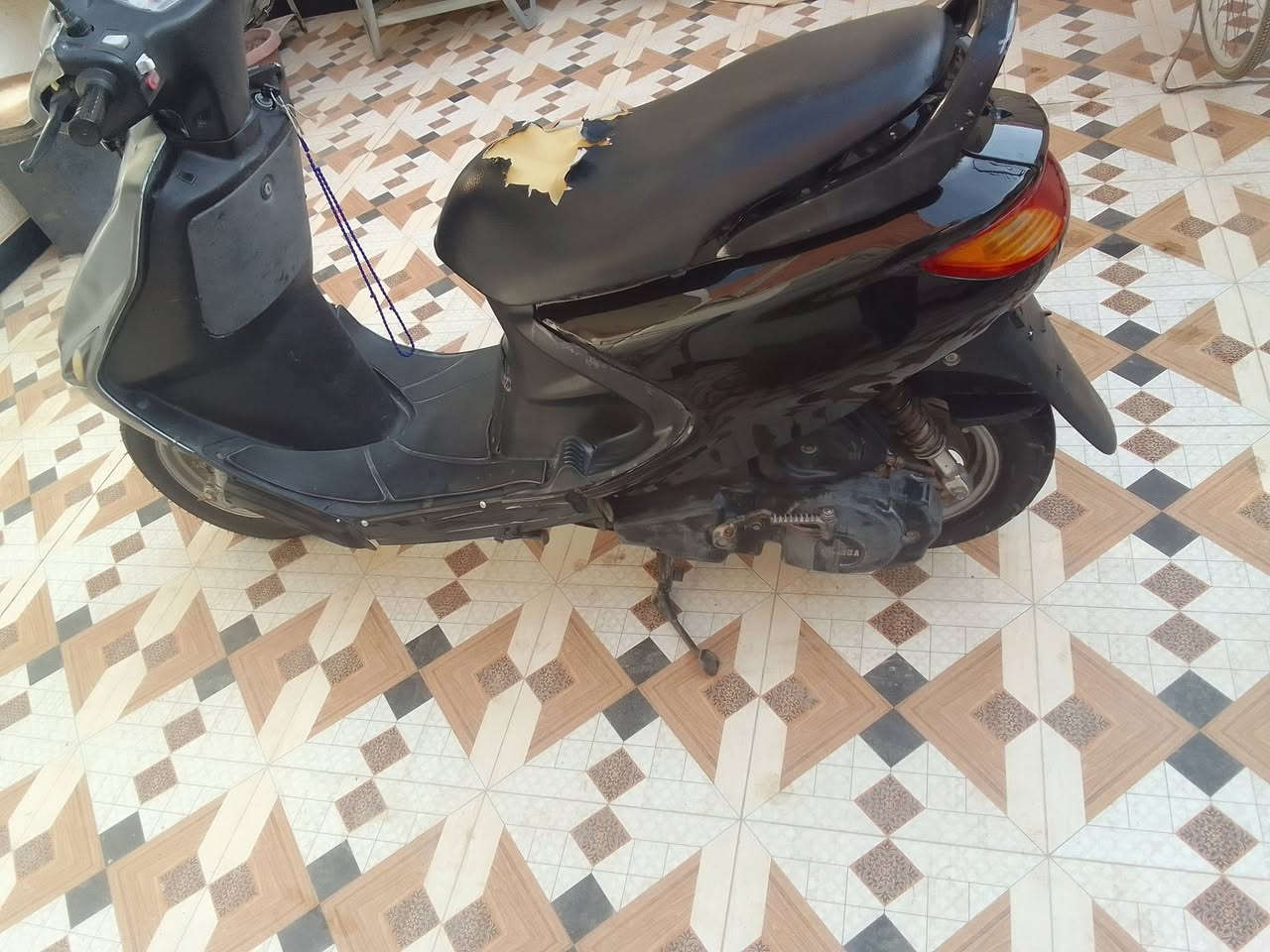 فراشة • نثيه • كهربائيات