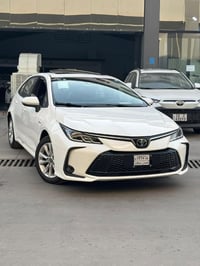 كولا صيني • ٢٠٢٥ • ماشيه ٢٠٠٠