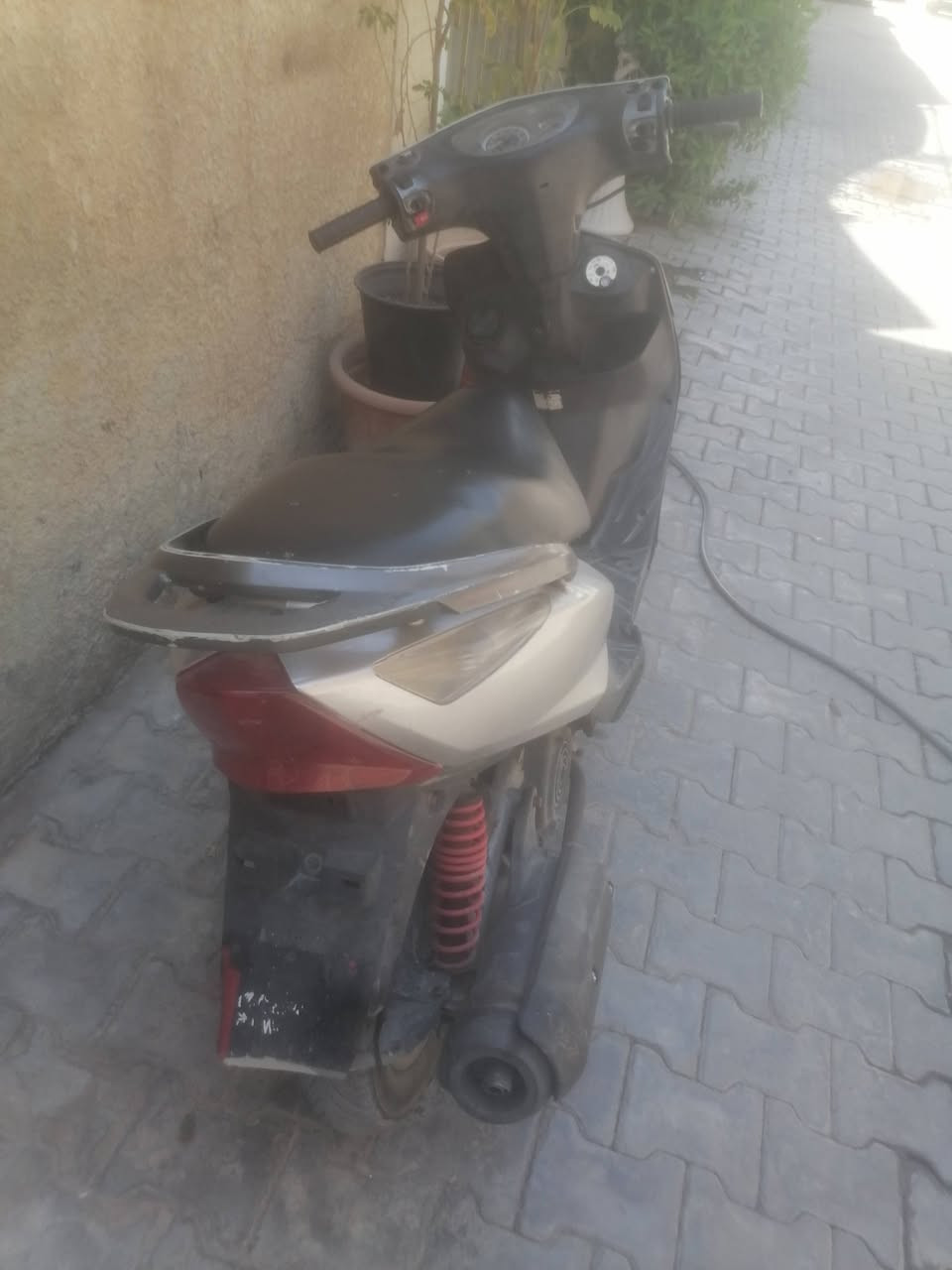 ثعلب نكره بكل وقت نقصه بس كفر امامي سعر ٣٥٠ مكان منصور ساحت لقا ***********
