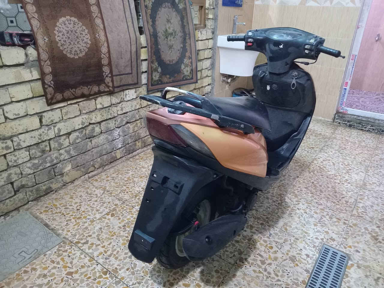 ماكس • فحل • كفاله