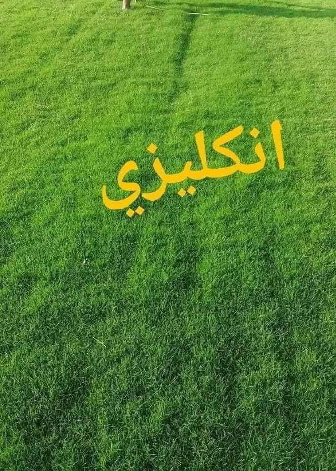 الثيل الاول في ديالى تجهيز جميع المدن جوده عاليه ودائم الخضار للاستفسار ***********//***********
