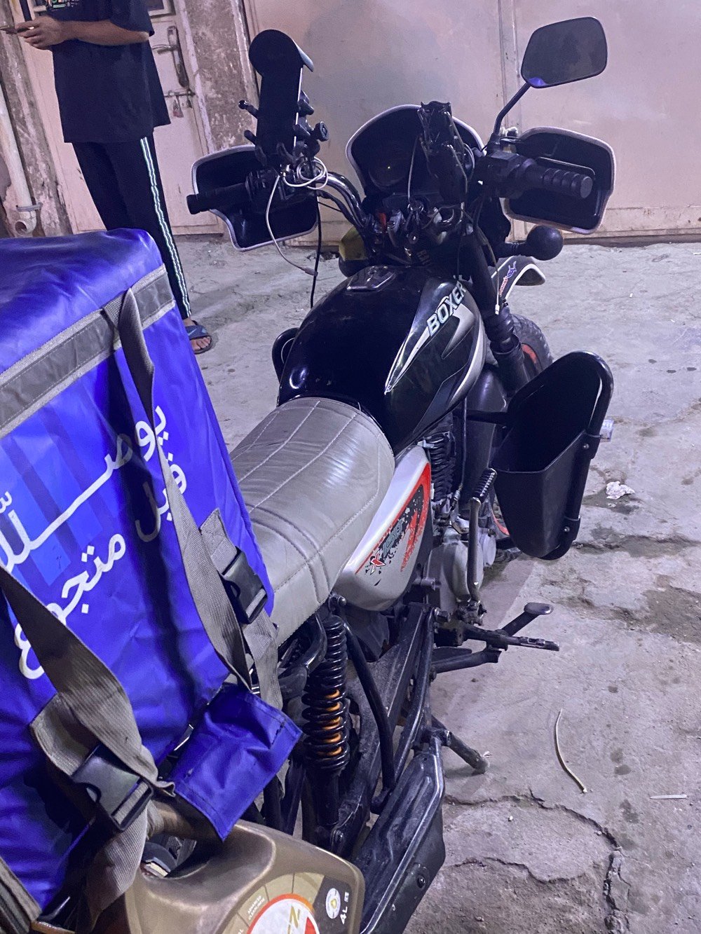 بوكسر • جبلي • بدون أوراق