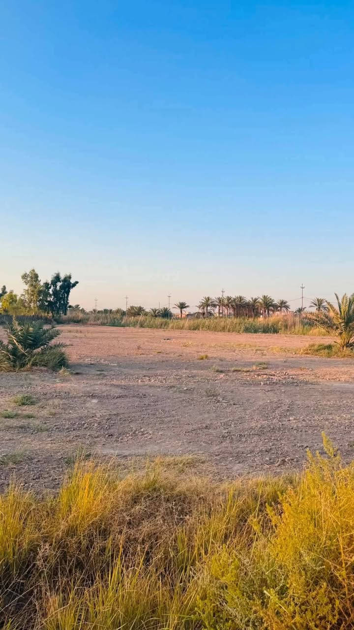 للبيع
دونم 
سند ٢٥ شرط لمداور 
تقع ع شارع هوئ الشام مباشر
كل لخدمات متوفره 
مي سقي 
مي اساله 
كهرباء 
انارت شارع 
تبليط 
مركز صحي 
صيدليه 
مدارس ابتدائي و متوصطه
العنوان بابل 
منطقة هوئ الشام 
للستفسار اتصل ع رقم ***********
اعتذر ع رد اني مكلف بل نشر تحياتي
