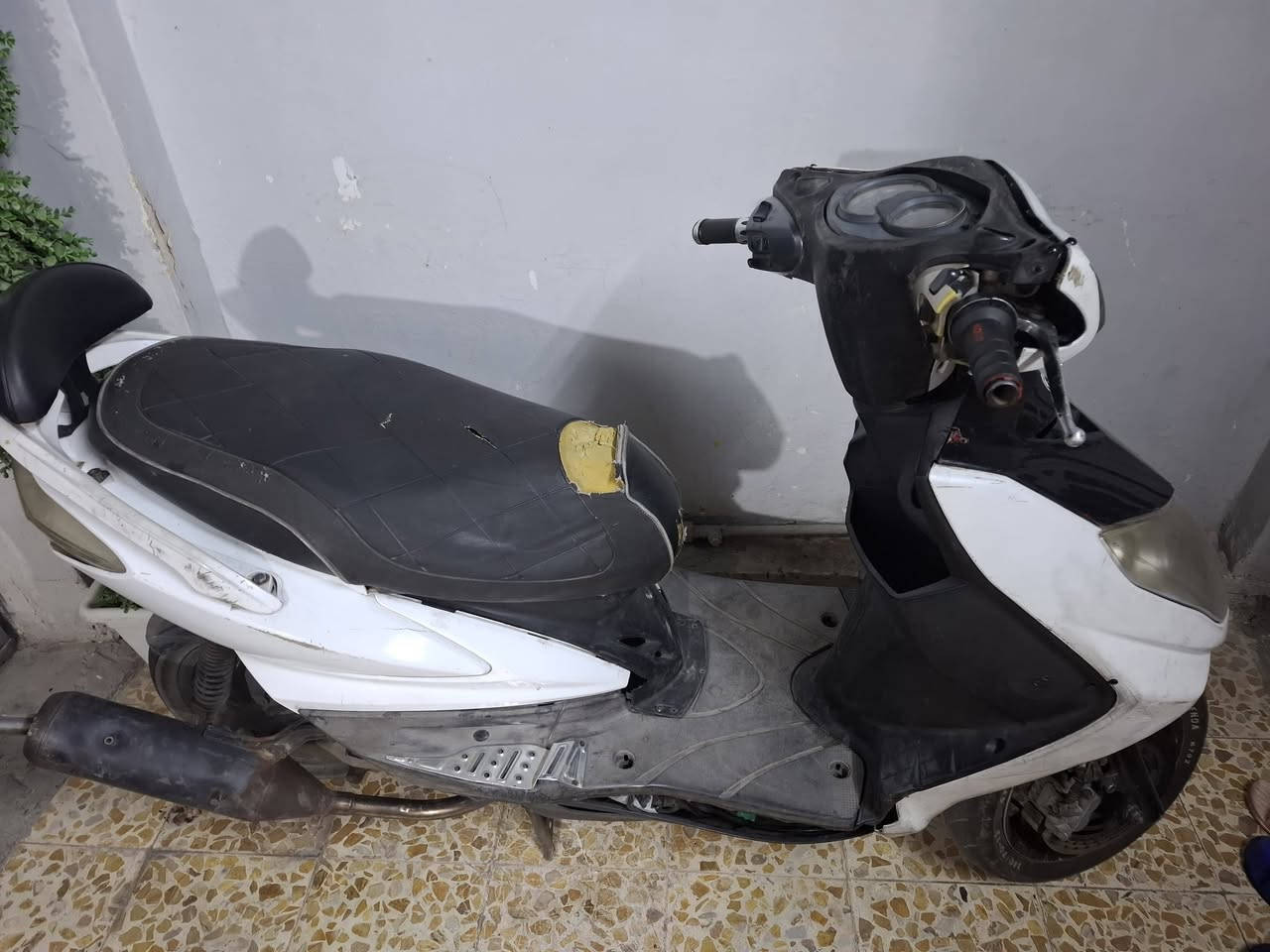 سكنس فحل نوزل خطين
دراجه حلوه شلعه ومعدل كهربائيات شغاله
بيه تزويد كلجات قويات كلش صالنصه صوته حلو
مكينه كفاله لا نضوح ولا تبخير
سعره 550 بيه مجال بسيط مكان بغداد الطالبيه قرب فلكه 83 تواصل ***********
