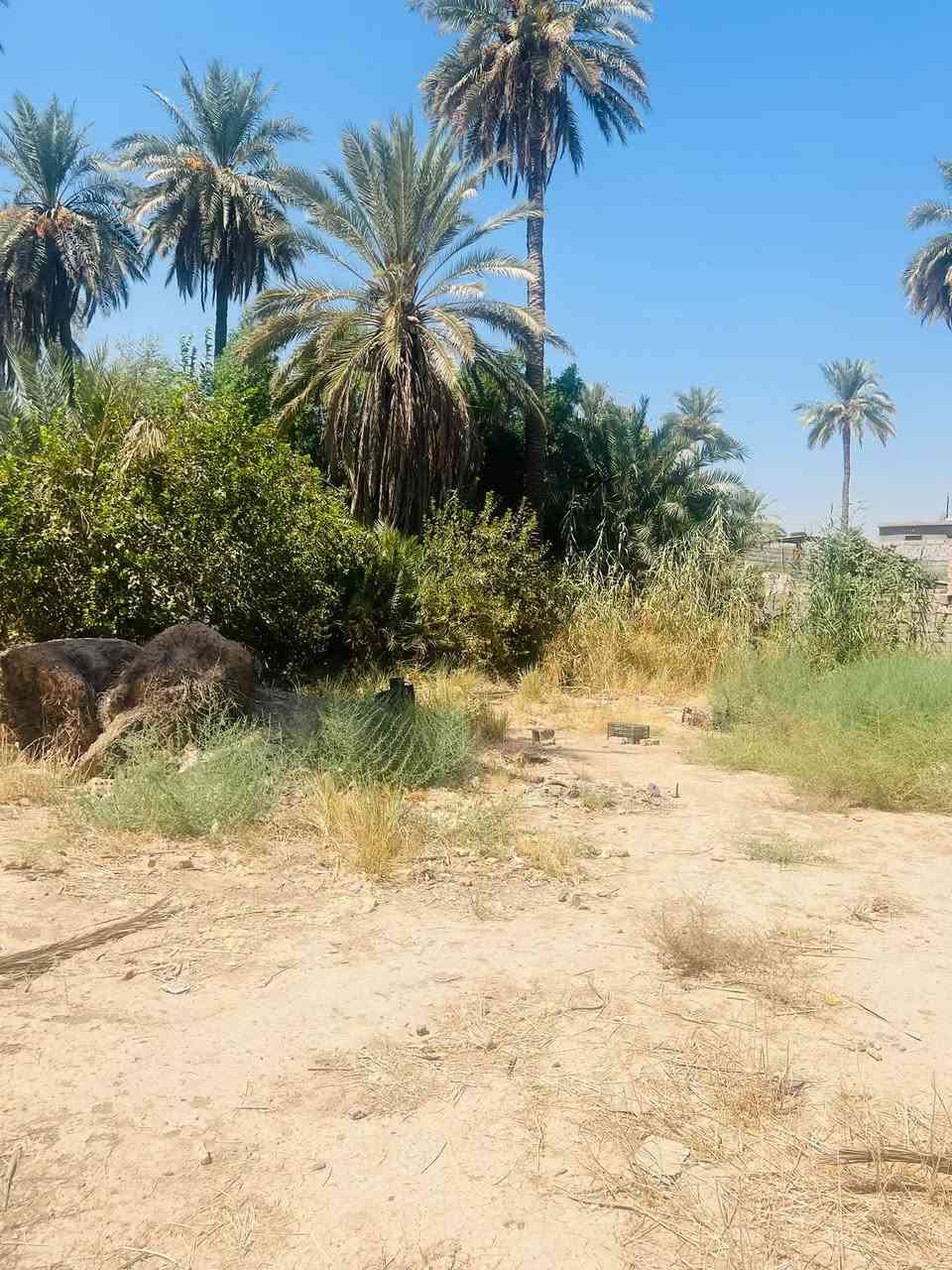 سلام عليكم قطعه ارض للبيع
📍  المدائن حي صحه 1200م 
📝طابو سند 25 تتحول باسمك 
سعر جدا مناسب  ترهم ستثمار 
اتصل ع رقم الهاتف الاستفسار ***********📱📞واتساب
