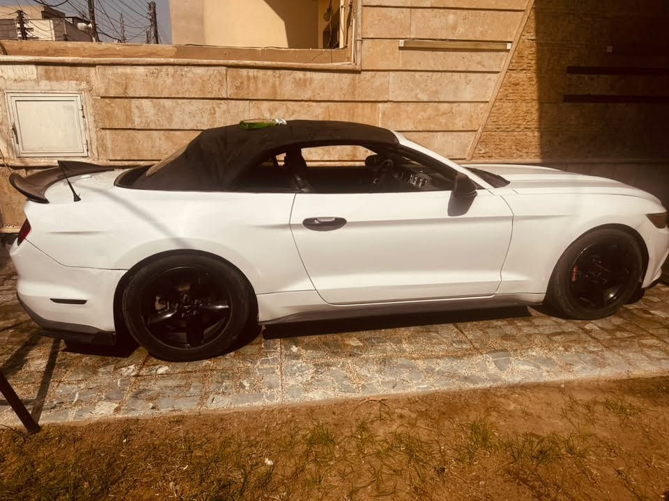 موستنك • ٢٠١٥ • رقم بغداد