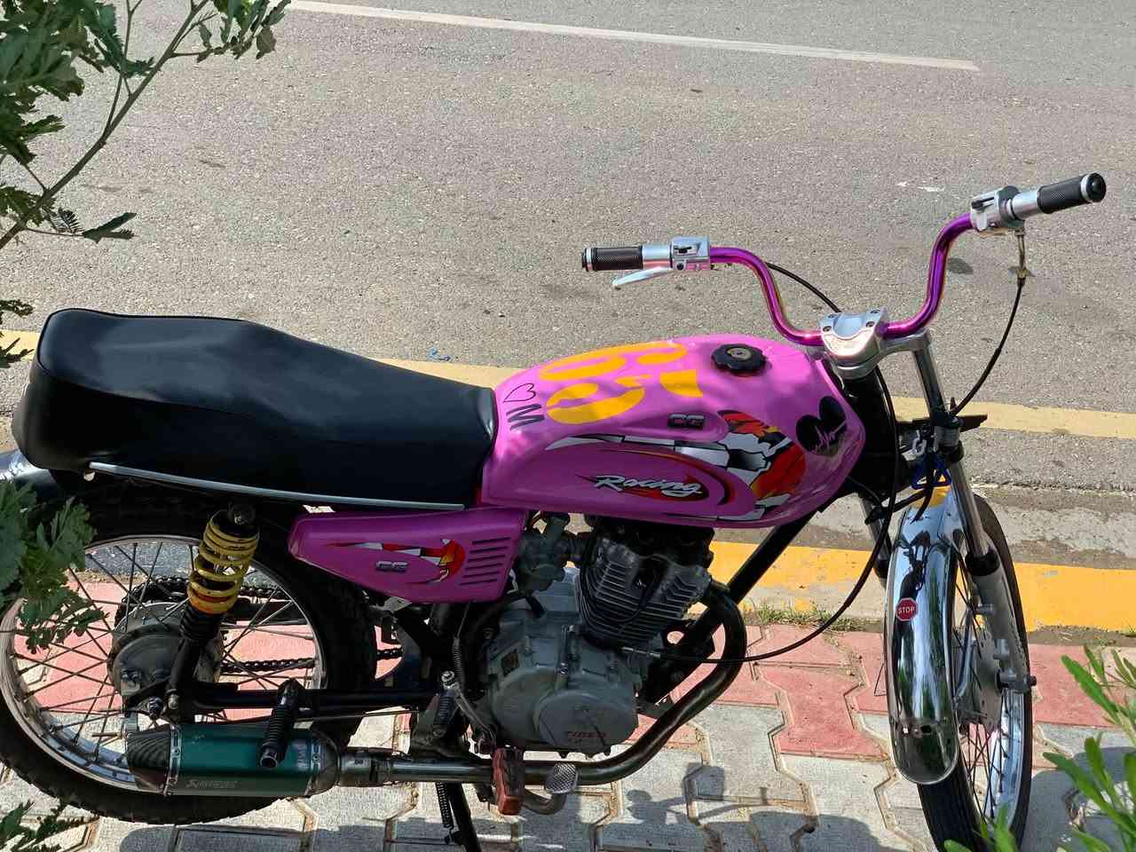 ٢٠١٩ • نضيف • معمر