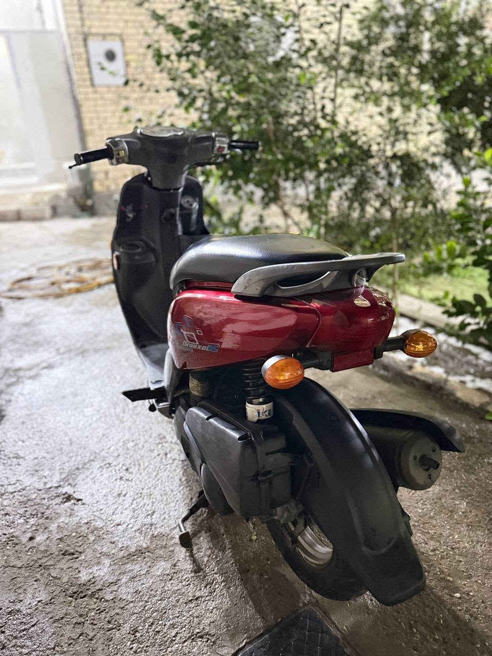 فله • مكفوله • بابل