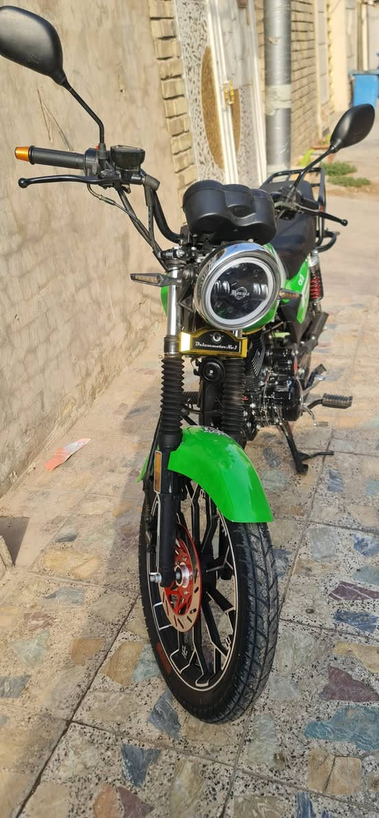شاينك • ٢٠٢٦ • جديده