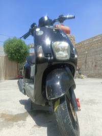 ماكس بوليس • نضيفه • كفاله عامه