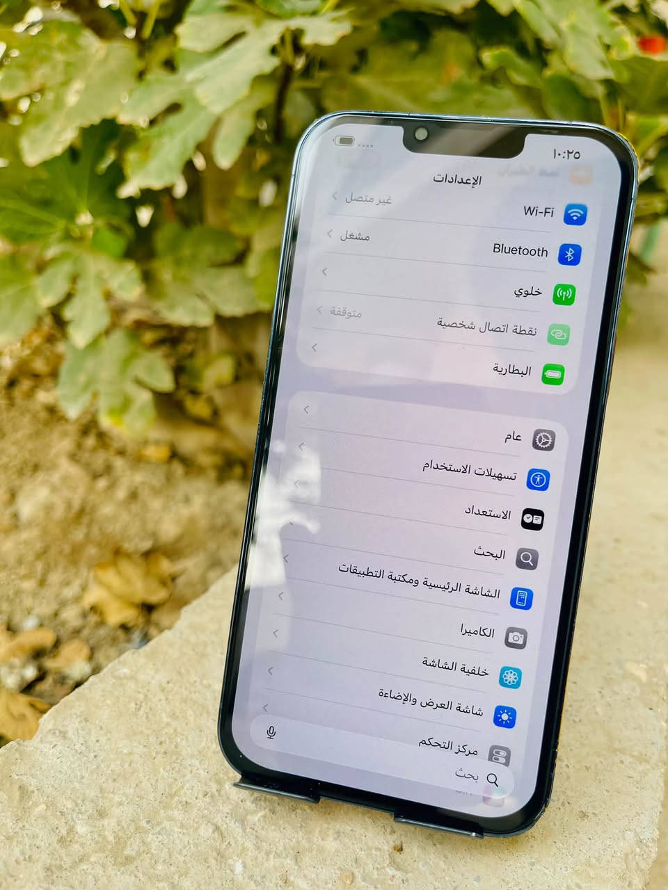 ١٣ برو ماكس • ٢٥٦ جيجا • بطارية ٧٠٪