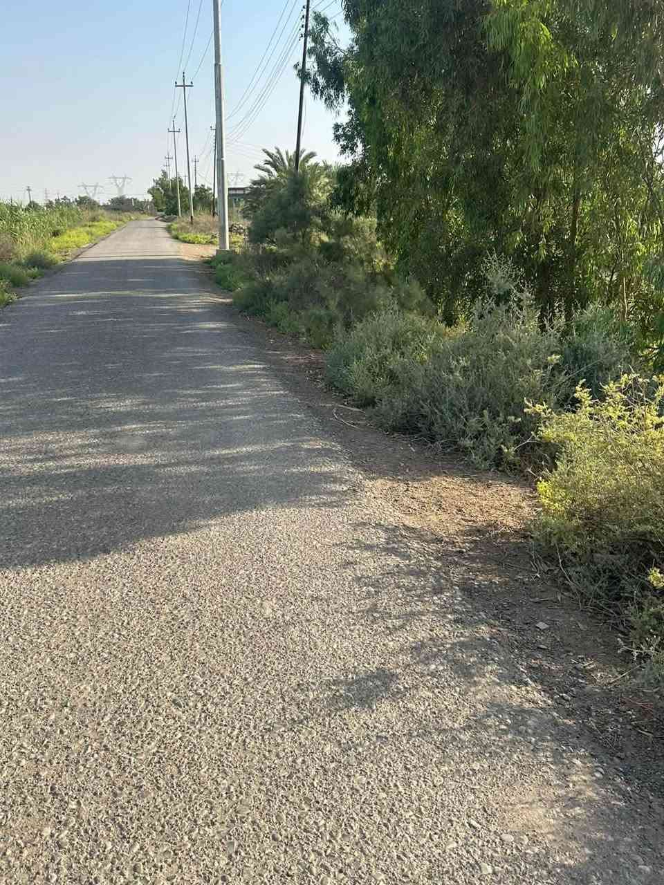 ٤ دوانم • طابو صرف • حي الوحدة شاخه 4