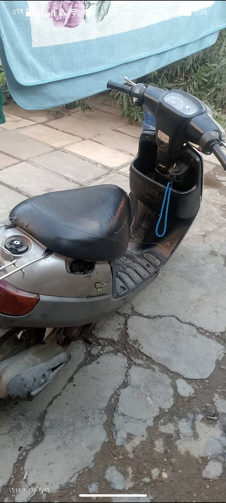 بطة • ٦٠ • نظيفه